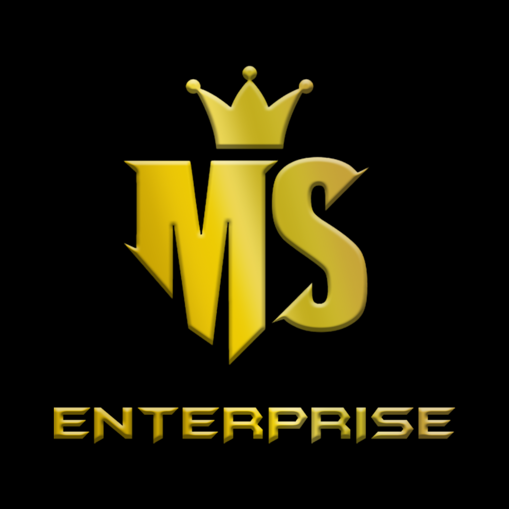 MS Enterprise Logo